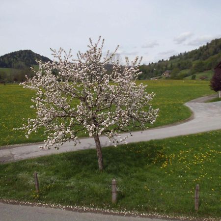 Ferienwohnung Annele Hittisau Eksteriør billede